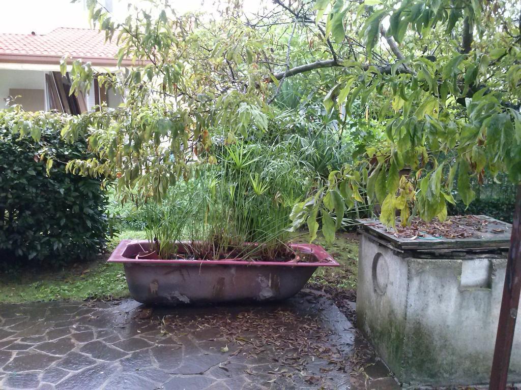 Casa Irene Frühstückspension